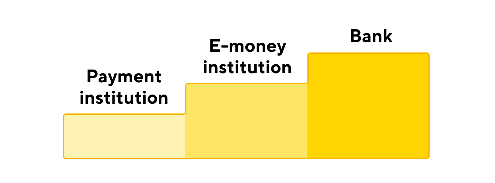 electronic money institution