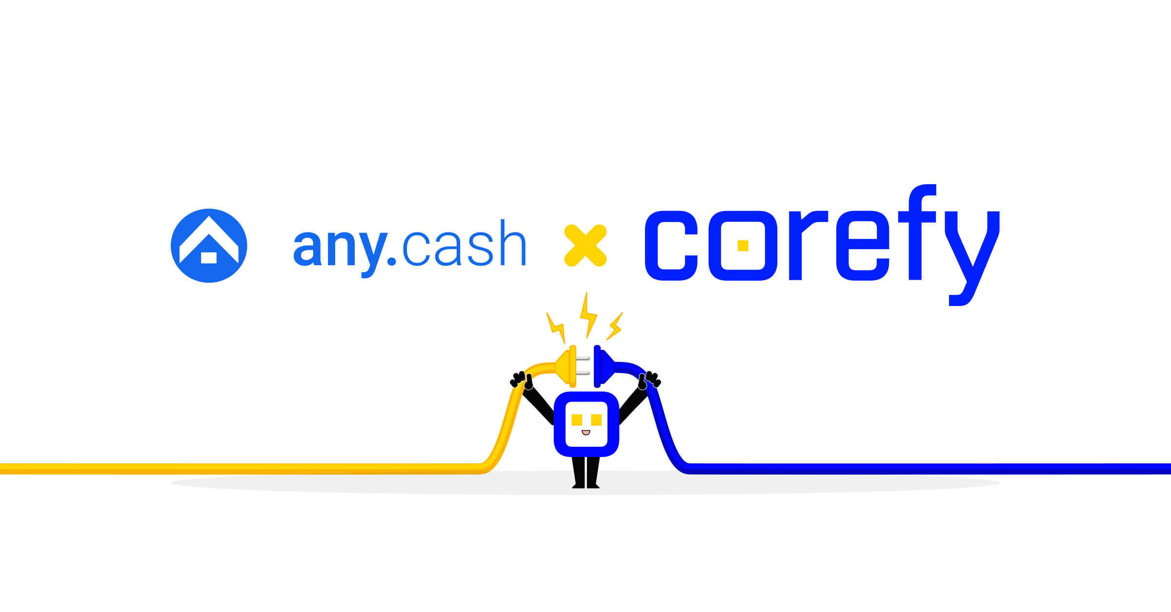 New integration with Any.Cash